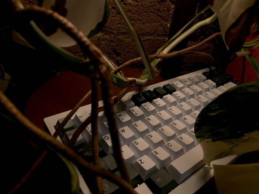 Keyboard under vines, overhead