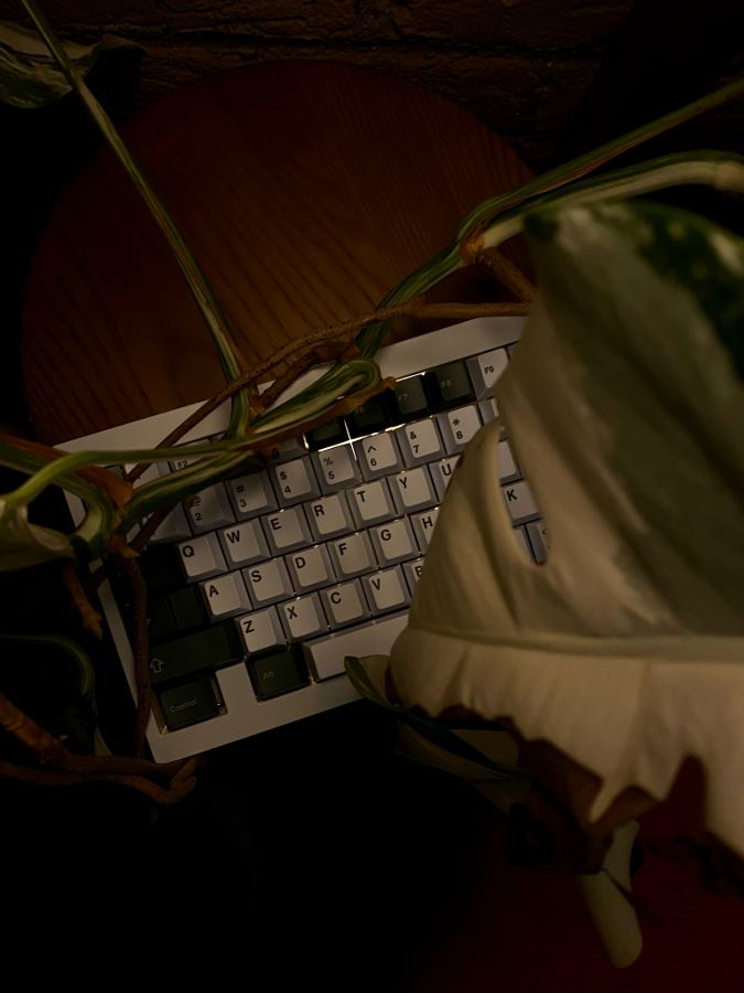 Monstera and white keyboard, overhead